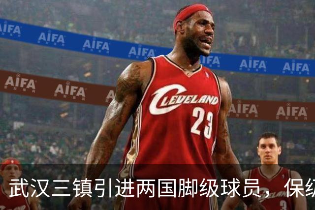 武汉三镇引进两国脚级球员，保级前景乐观